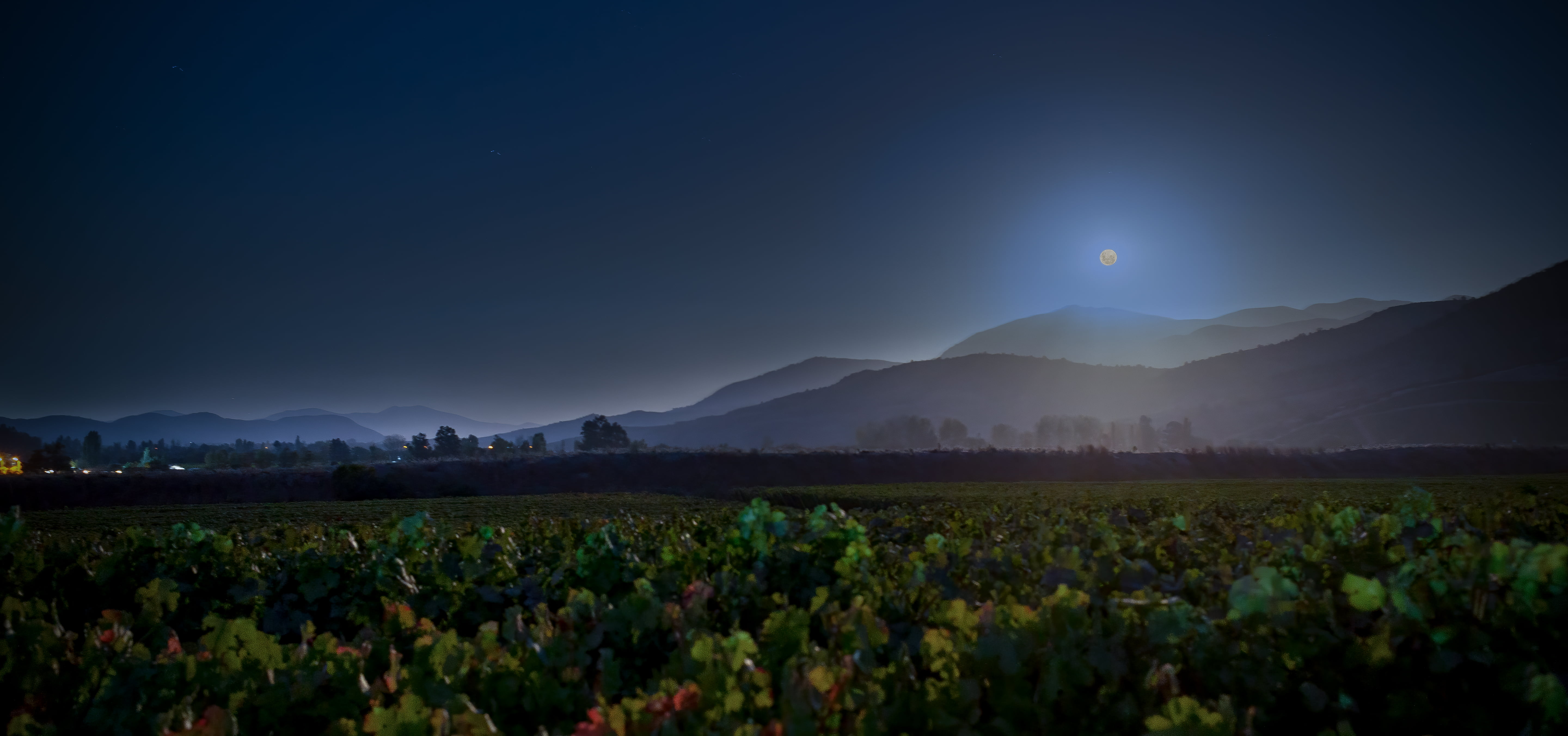 NIGHT HARVEST 2021 AND A FULL MOON TO CELEBRATE THE START OF THE HARVEST