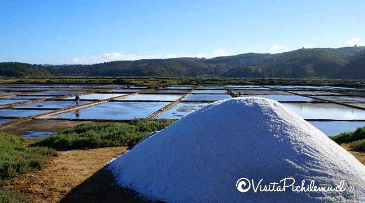 Vik on Tour:  Las salinas de Cahuil