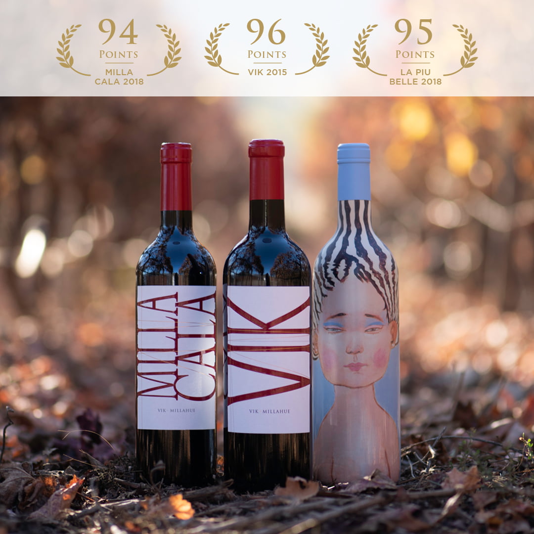 VIK 2014 REACHES 98 POINTS AT THE TASTING PANEL MAGAZINE’S REVIEW.