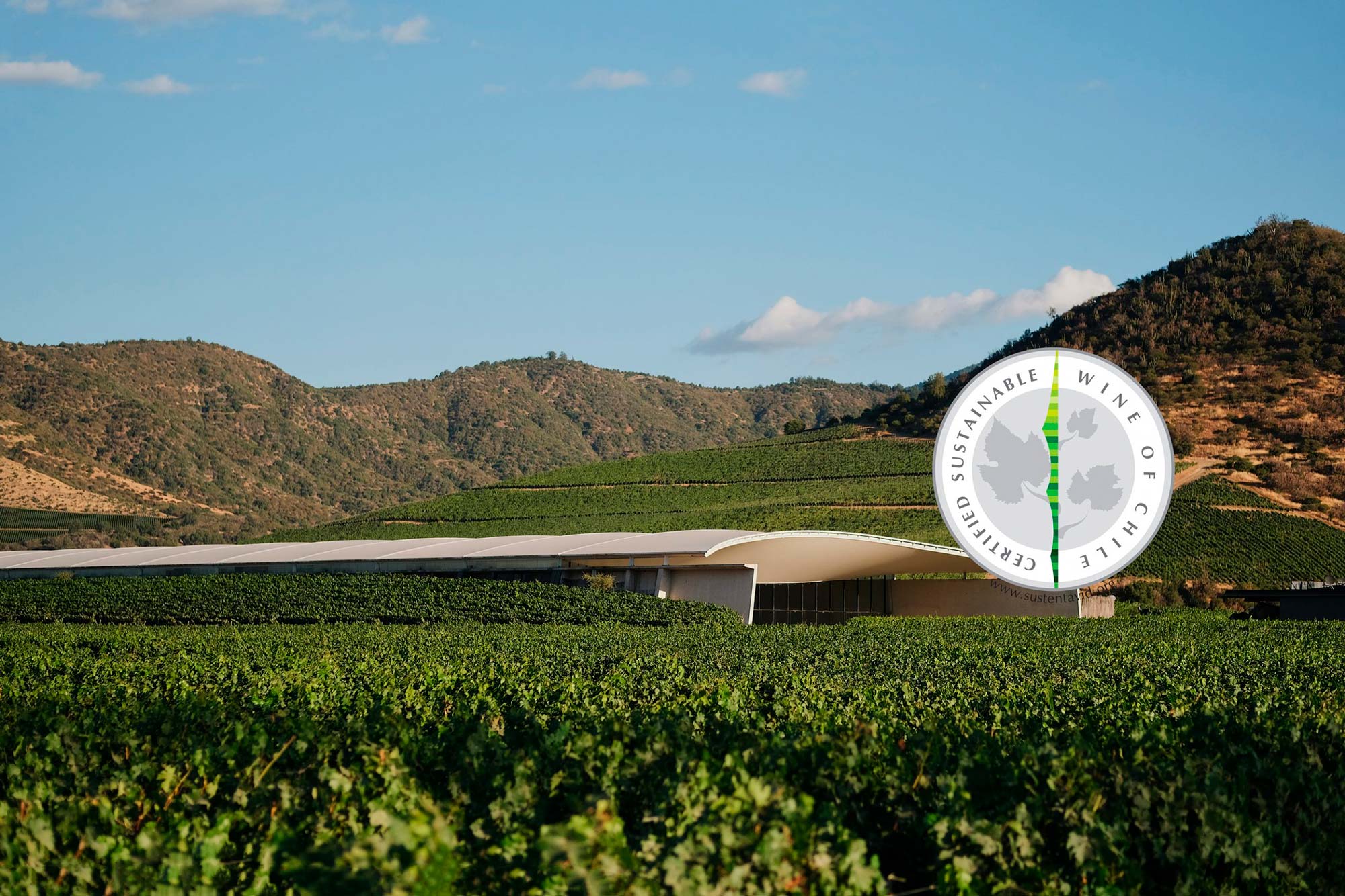 VIK OBTAINS CERTIFICATION UNDER THE SUSTAINABILITY CODE OF THE CHILEAN WINE INDUSTRY