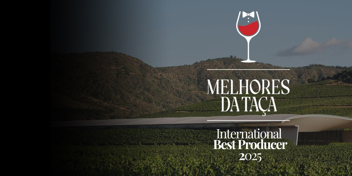 VIK GANA EL PREMIO MEJOR PRODUCTOR INTERNACIONAL EN MELHORES DA TAÇA 2025, DE LA REVISTA PRAZERES DA MESA