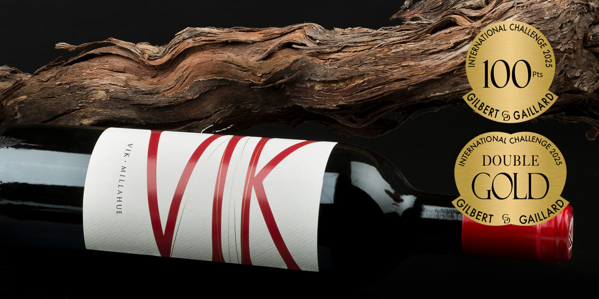 VIK 2021 OBTIENE EL RECONOCIMIENTO PERFECTO EN GILBERT & GAILLARD INTERNATIONAL CHALLENGE