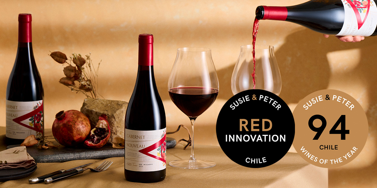 VIK A CABERNET NOUVEAU RECONOCIDO CON EL PREMIO RED INNOVATION EN CHILE WINES OF THE YEAR 2025