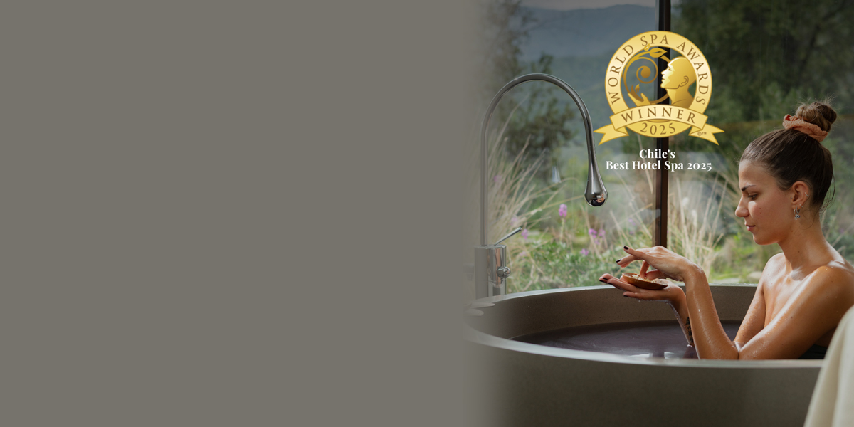 THE WINE SPA DE VIK CHILE SE CONSAGRA COMO EL MEJOR HOTEL SPA DE CHILE 2025 EN LOS WORLD SPA AWARDS