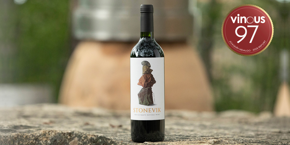 STONEVIK 2024 OBTIENE 97 PUNTOS EN SU SEGUNDA COSECHA COMERCIAL Y SE CONSOLIDA COMO UNA DE LAS GRANDES REVELACIONES DEL VINO CHILENO