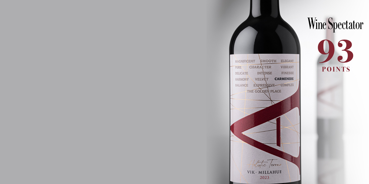 VIK A CARMÉNÈRE 2023 RECIBE 93 PUNTOS DE WINE SPECTATOR, OTORGADOS POR AARON ROMANO