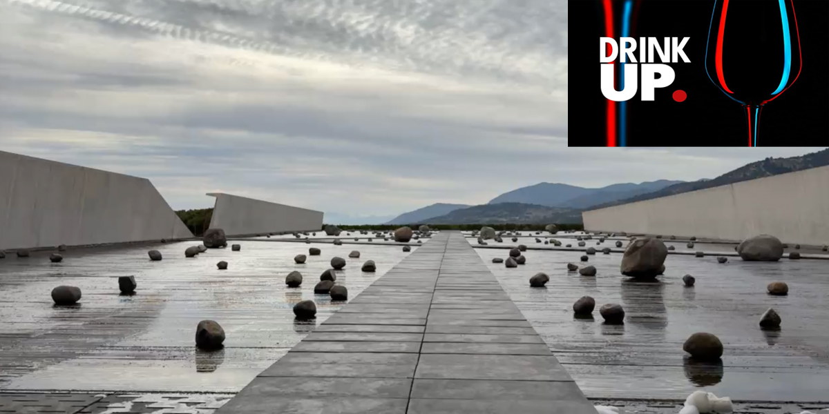 VIK SE CONVIERTE EN EL GRAN PROTAGONISTA DE ROKU CON EL ESTRENO DE LA SEGUNDA TEMPORADA DE DRINK UP